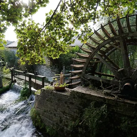 Valentine * ヴール・レ・ローズ